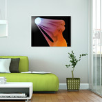 Overexpressed // Aluminum