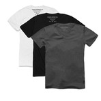 V-Neck T-Shirt // Assorted // Pack of 3 (L)