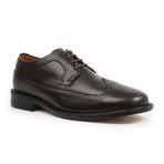 Longwing Derby Shoe // Mocha (US: 8.5)