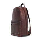 Albion Leather Laptop Backpack (Brown)