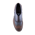 Wing-Tip Oxford // Navy + Blue (Euro: 41)