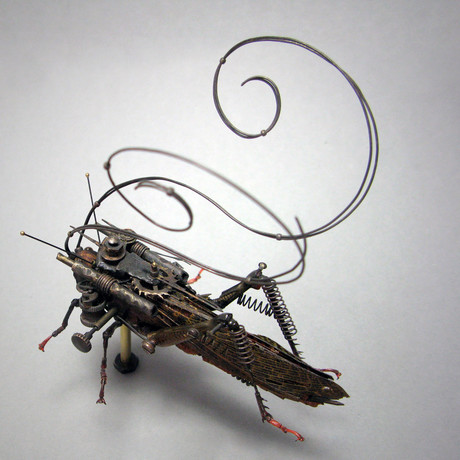 Orthoptera // Tropidacris Dux // Distressed