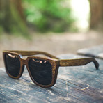 Jackson Sunglasses // Brown