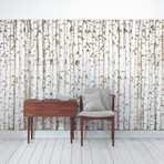 Birch Wall