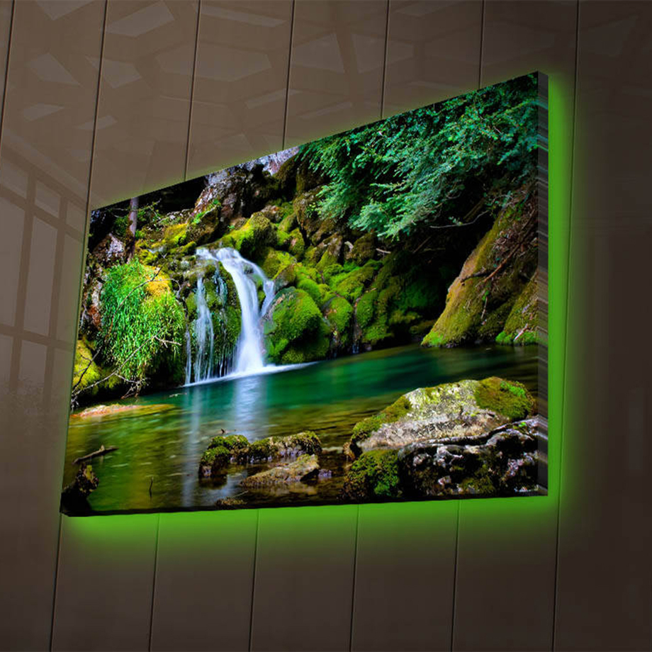 Wallity - Backlit LED Canvas Prints - Touch of Modern