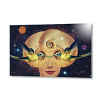 Nautilus // Aluminum