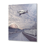 The Long Winter // Aluminum