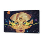 Nautilus // Stretched Canvas