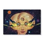 Nautilus // Stretched Canvas