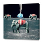 Soft Parade (16"W x 16"H x 1.5"D // Stretched Canvas)