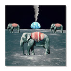 Soft Parade (16"W x 16"H x 1.5"D // Stretched Canvas)