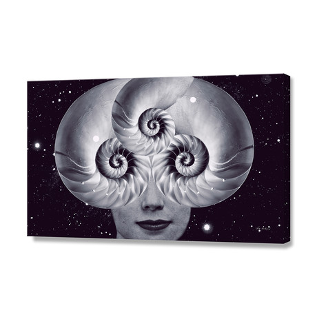 Nautilus 2.0 // Stretched Canvas