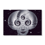 Nautilus 2.0 // Stretched Canvas