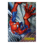 Stan Lee Signed Spider Man Climbing Framed Poster