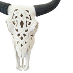 Decorative Cow Skull (Ivory)