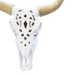Decorative Cow Skull (Ivory)