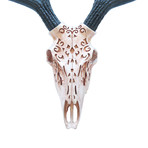 Tribal Deer Skull (Ivory)