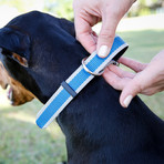 Multi-Fit Collar // Blue (Medium - Large)