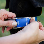 Multi-Fit Collar // Blue (Medium - Large)