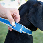 Multi-Fit Collar // Blue (Medium - Large)
