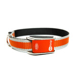 Multi-Fit Collar // Orange (Medium - Large)