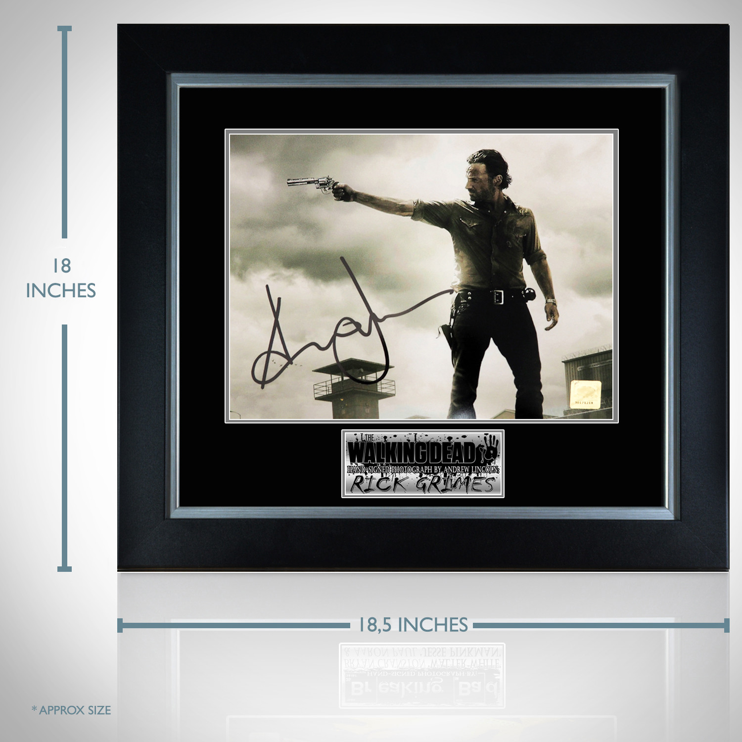 Walking Dead // Hand-Signed Photo // Custom Frame 3 - Rare-T - Touch of ...