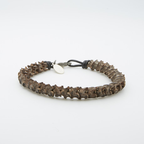 Snake Vertebrae + Heishi Bracelet (8")