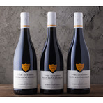 2011-2013 Aurelien Verdet Nuits St Georges "Les Damodes" // Pack of 3