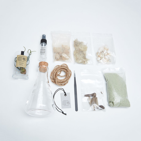 Flask Terrarium Kit (Without Air Plant)