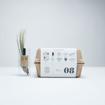 Beaker Terrarium Kit (Without Air Plant)