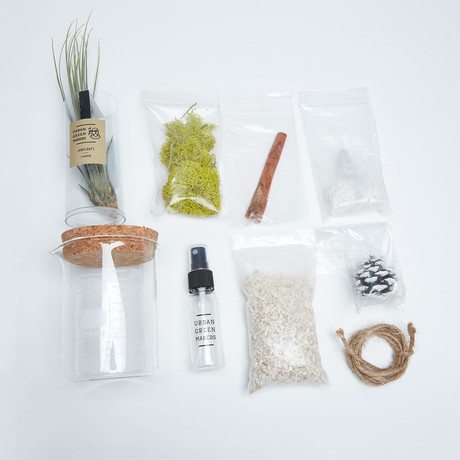 Beaker Terrarium Kit (Without Air Plant)