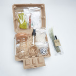 Beaker Terrarium Kit (Without Air Plant)