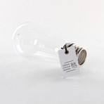 Bulb Terrarium Kit // Squirrel (Without Air Plant)