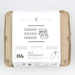 Bulb Terrarium Kit // Tube (Without Air Plant)