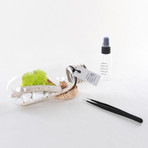 Bulb Terrarium Kit // Tube (Without Air Plant)