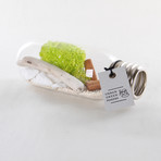 Bulb Terrarium Kit // Tube (Without Air Plant)