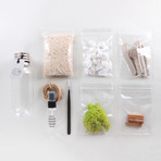 Bulb Terrarium Kit // Tube (Without Air Plant)