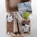 Bulb Terrarium Kit // Tube (Without Air Plant)