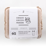 Vintage Glass Jar Terrarium Kit // Pink (Without Air Plant)