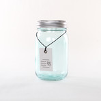 Vintage Glass Jar Terrarium Kit // Light Blue (With Air Plant)