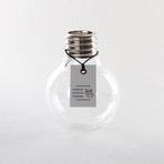 Bulb Terrarium Kit // Globe (Without Air Plant)