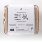 Bulb Terrarium Kit // Globe (Without Air Plant)