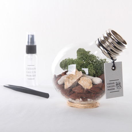 Bulb Terrarium Kit // Globe (Without Air Plant)