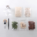 Bulb Terrarium Kit // Globe (Without Air Plant)