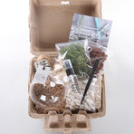 Bulb Terrarium Kit // Globe (Without Air Plant)