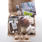 Glass Jar Terrarium Kit (Without Air Plant)