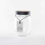 Glass Jar Terrarium Kit (Without Air Plant)