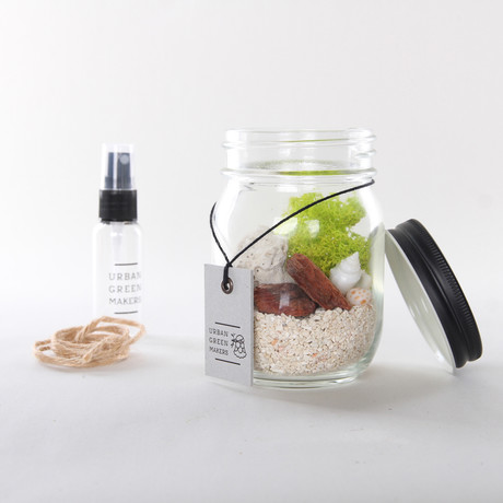 Glass Jar Terrarium Kit (With Air Plant)