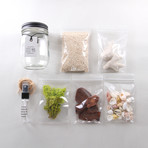 Glass Jar Terrarium Kit (Without Air Plant)