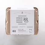 Glass Jar Terrarium Kit (Without Air Plant)